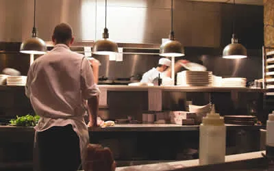 pest control contracts for restaurants takeaways schools and businesses in Kent
