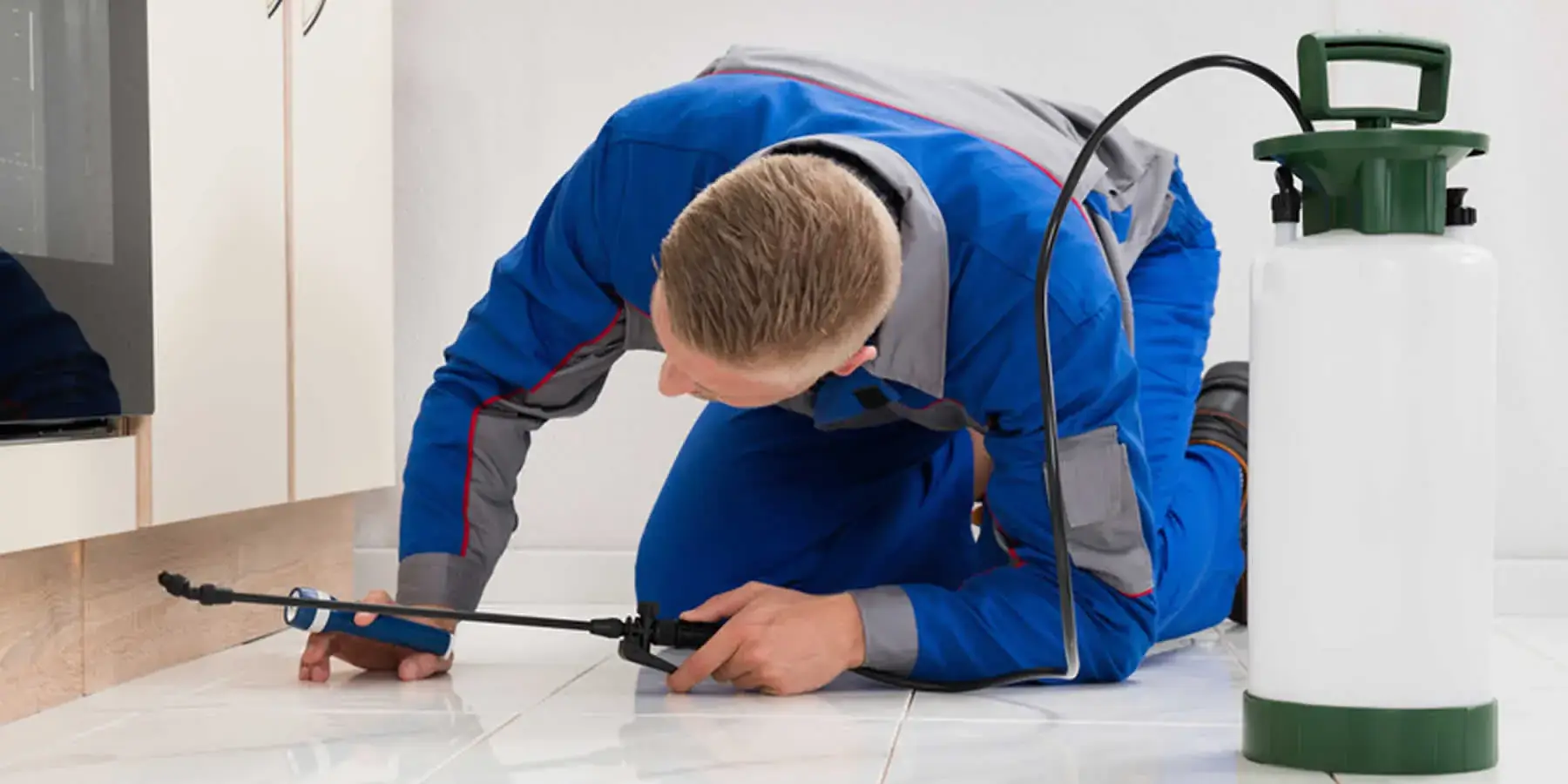 Treatment for Bed Bugs in Kent