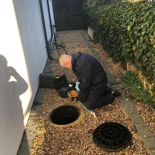 Technician inspecting a drain for signs of rats