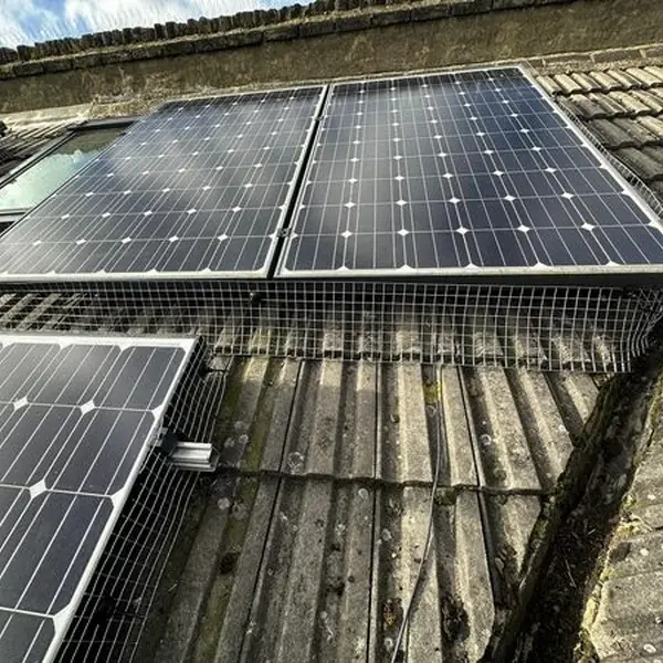 Bird proofing mesh fitted around rooftop solar panels